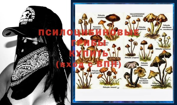бутират Балахна