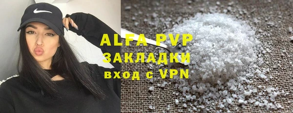 мяу мяу мука Баксан
